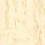 Swisspan.Береза Песчаная Береза Песчаная